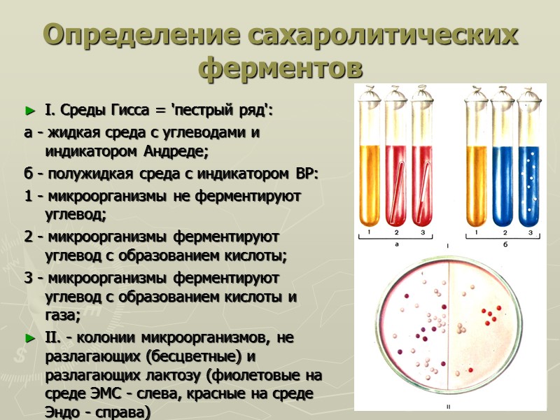 Определение сахаролитических ферментов I. Среды Гисса = 'пестрый ряд':  а - жидкая среда